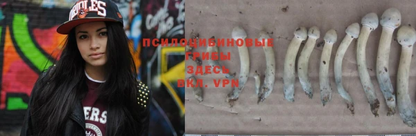 дмт Баксан