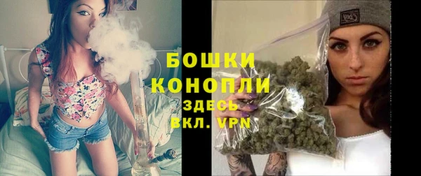 ECSTASY Пестово