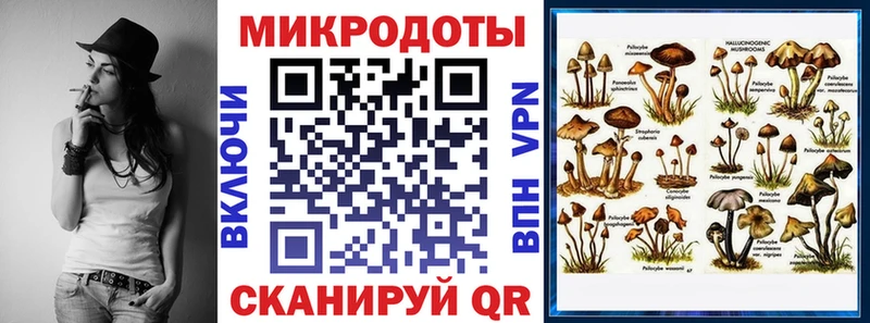 Купить где  Балашов  Галлюциногенные грибы GOLDEN TEACHER 